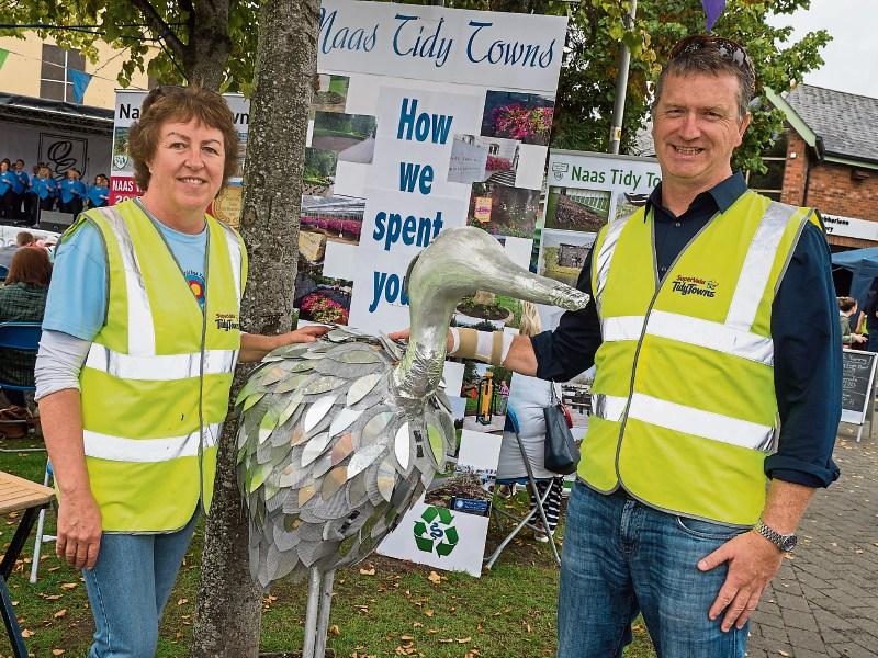 Kildare Tidy Towns round up