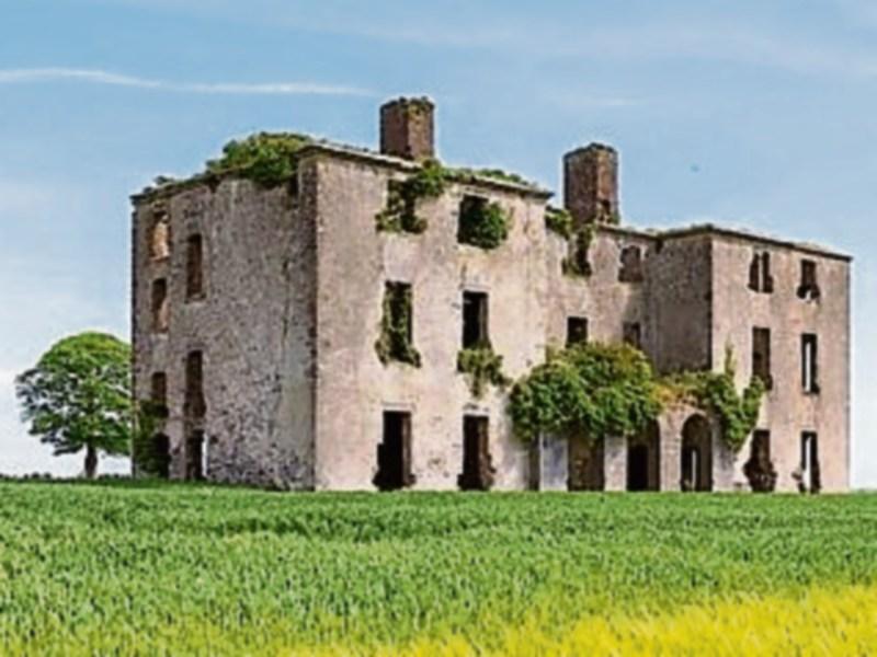 A Castle in Kildare is all yours for a mere &euro;3.75 million