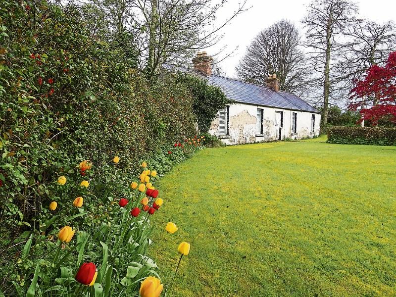 KILDARE PROPERTY WATCH Baden Lodge has planning permission for