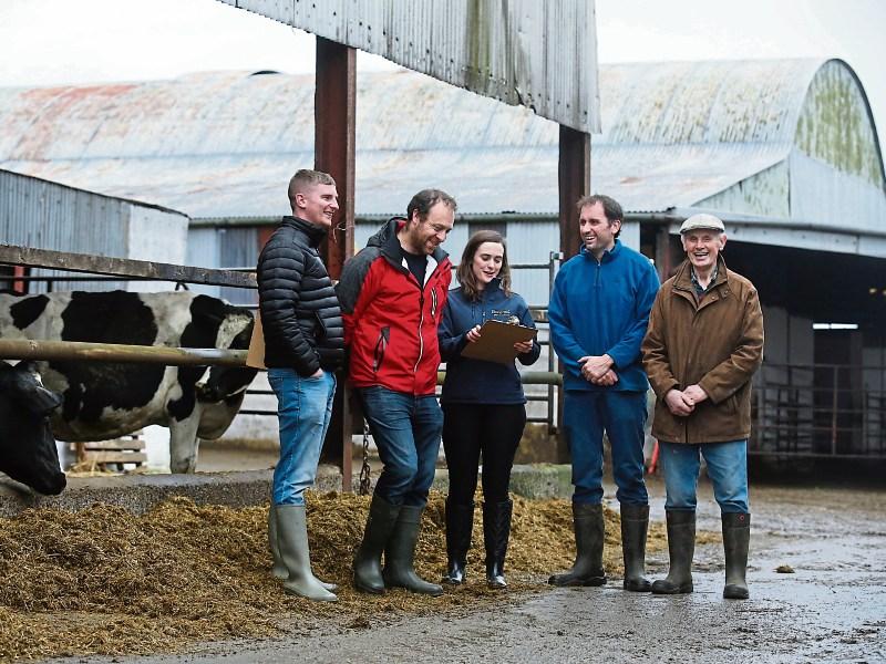 Kildare Farmers win Origin Green Farmer Award for Dairy Kildare Live