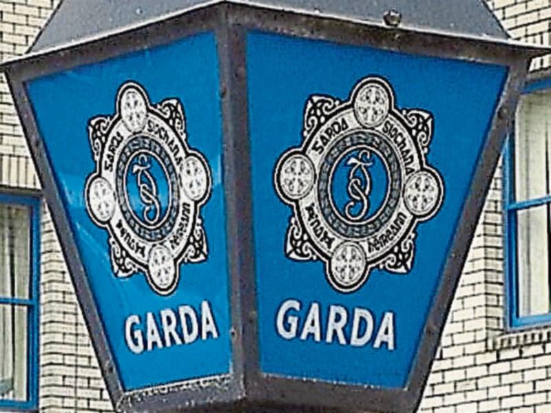Neighbouring houses broken into in Naas