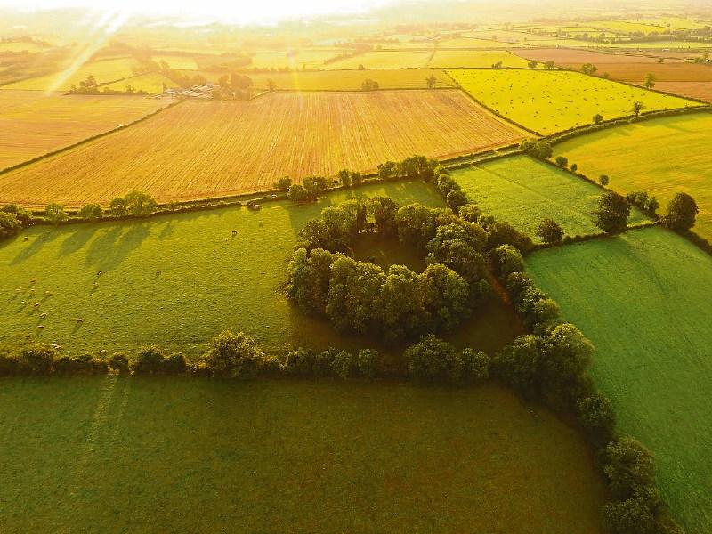 KILDARE REVIEW 2018: Archaeologists uncover Kildare&rsquo;s first stud farm