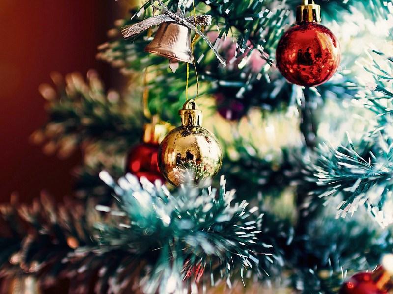 Here is where you can recycle your Christmas Tree for free across Kildare