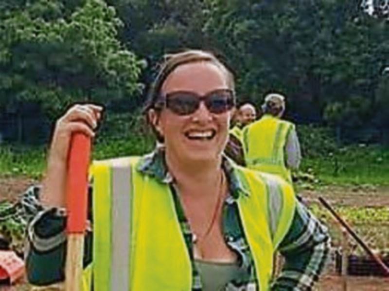 Life of bees improves from a Kildare town biodiversity project