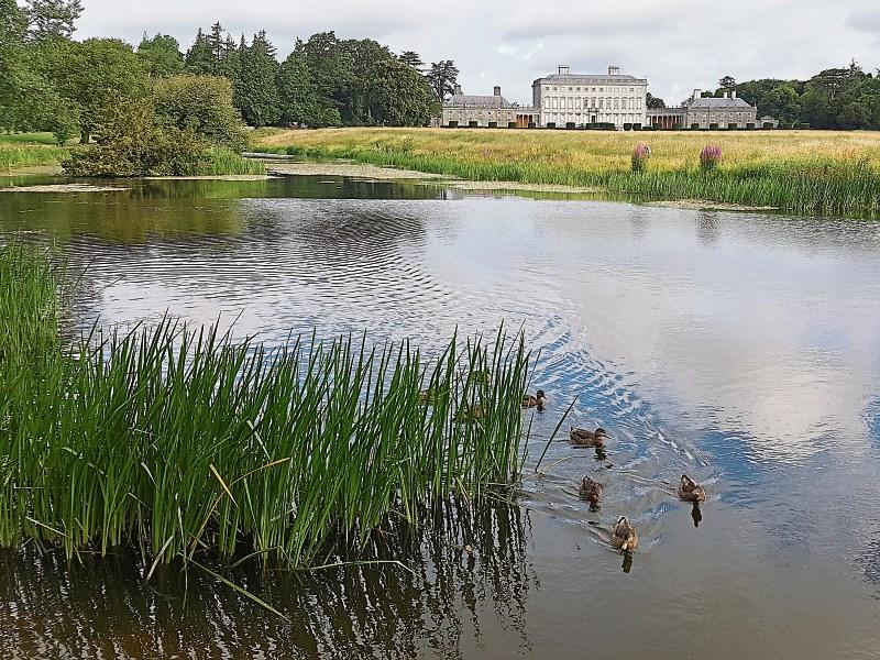 Famous painting to hang in historic Kildare venue