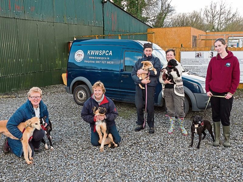 Kildare animal shelter, who are in danger of becoming homeless, make desperate appeal for funds
