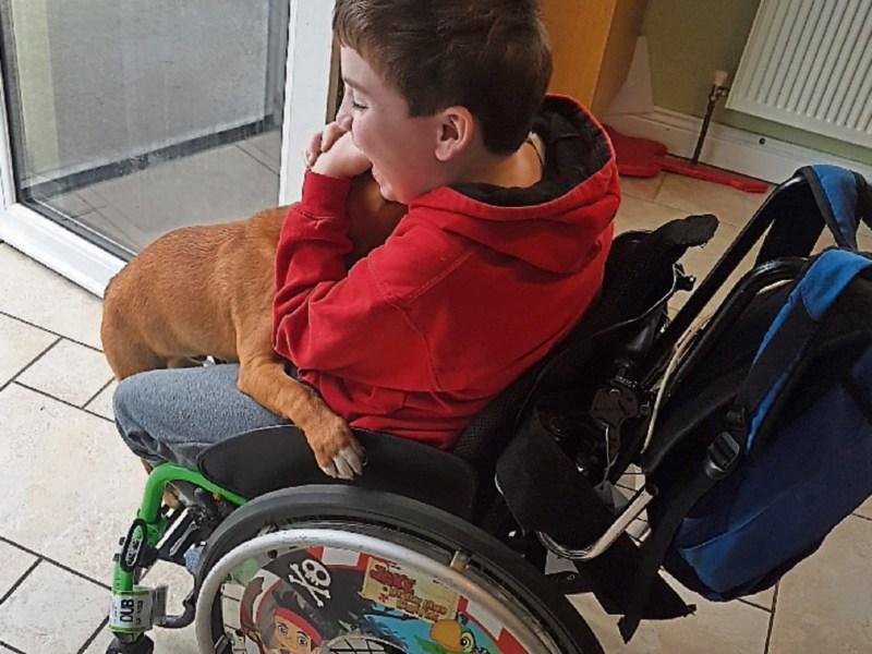 Nurney mum seeks help to buy wheelchair accessible car for 8-year-old son