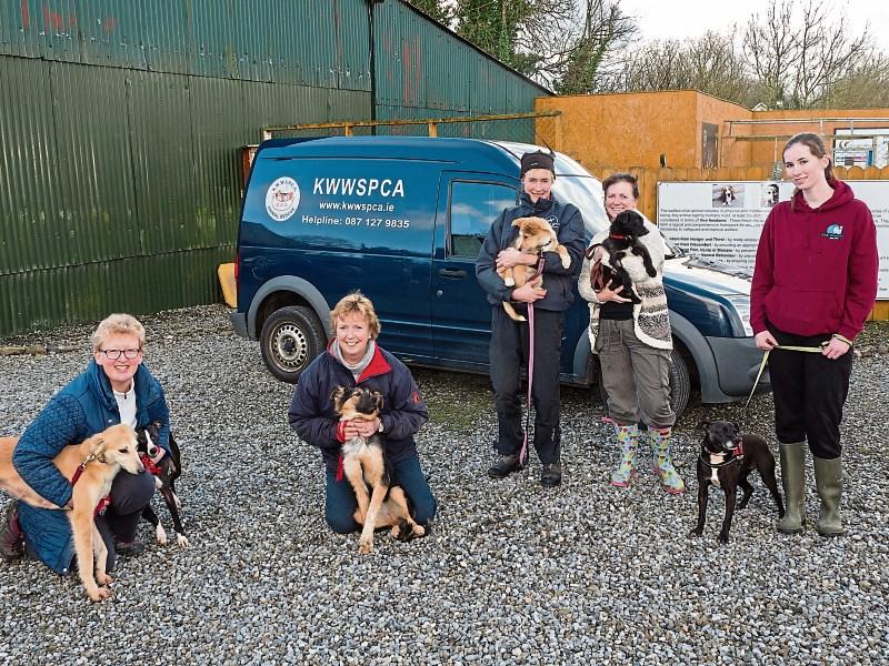 Kildare animal shelter hosting fashion pop-up to raise funds for a new shelter
