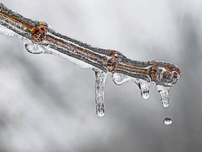 It will be cold across County Kildare with a shower or two