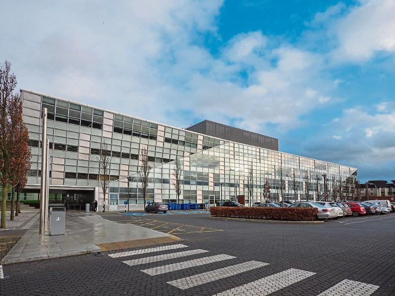 It’s time to vote for a green consensus on the county council in Kildare
