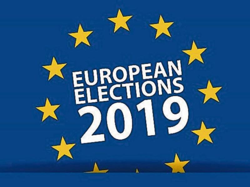 Who can Kildare people vote for in European elections? Kildare Live