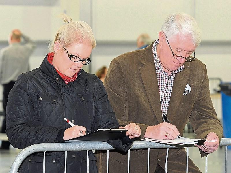 Tallymen and women needed on Saturday for Kildare count in Punchestown