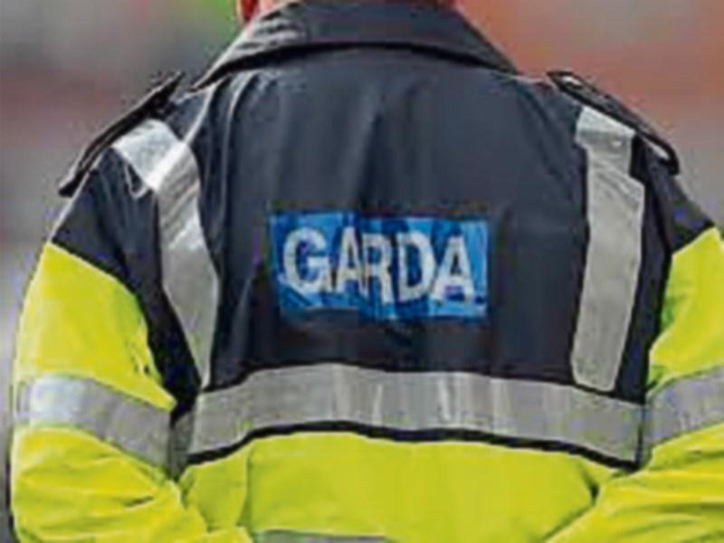 Two men die in Athy light aircraft crash