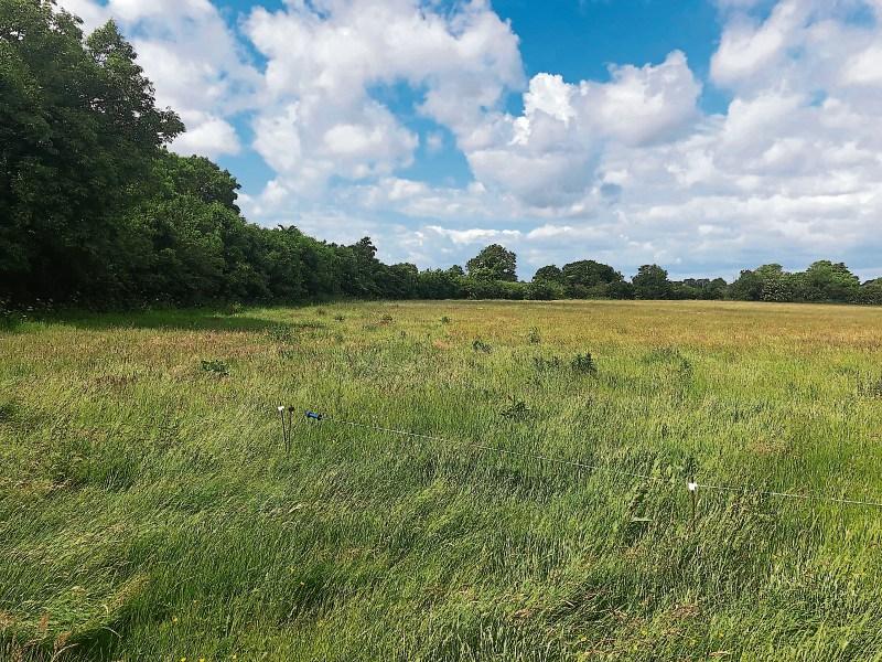 KILDARE PROPERTY WATCH 28 acres of Prosperous land up for sale with