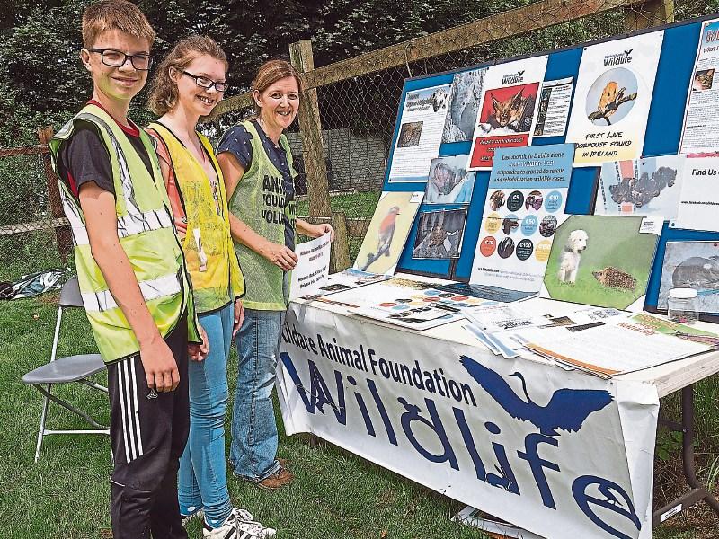 Kildare Animal Foundation celebrating 25 years with annual open day