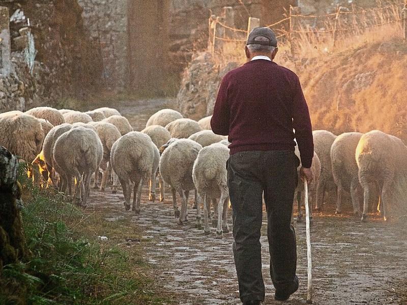 ASK THE DOC: Looking after farm families and their mental health