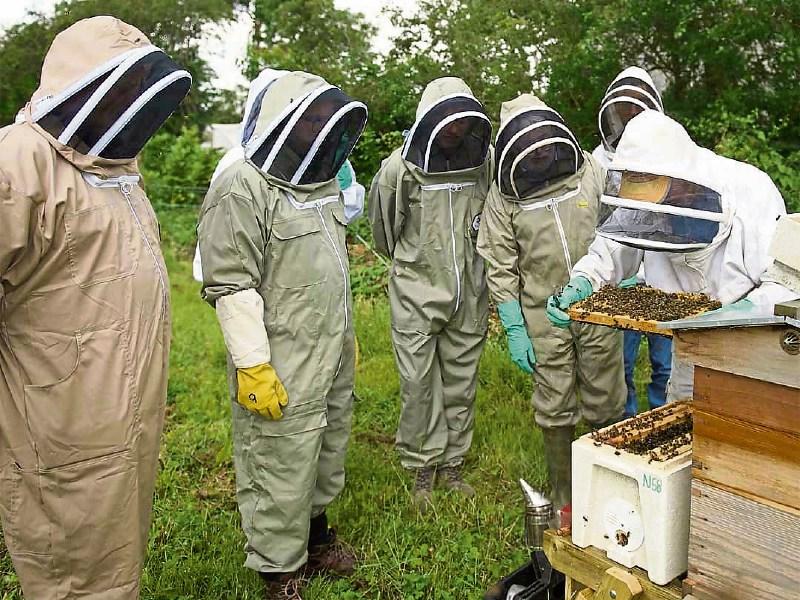 Kildare farm in the running for top award