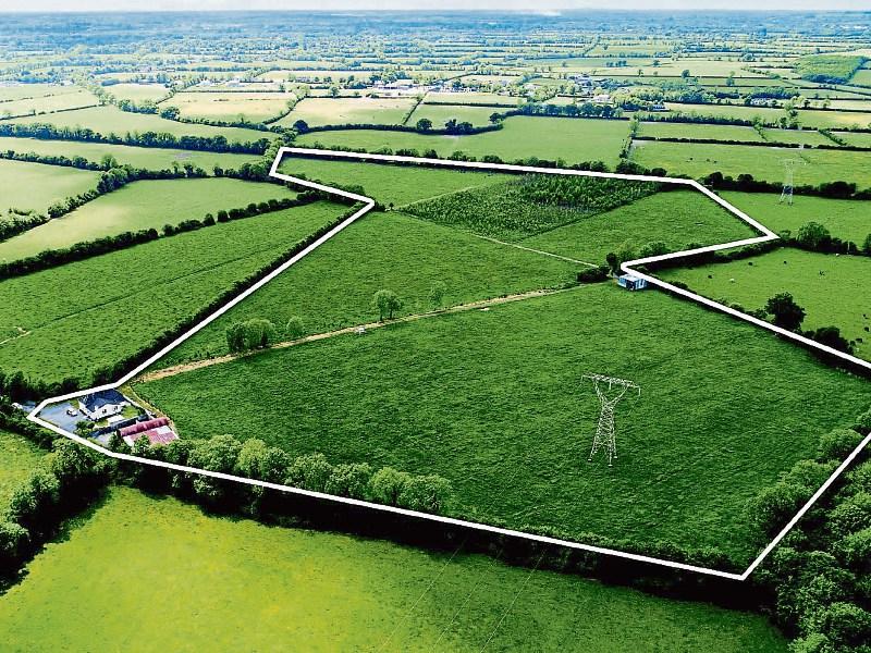 Kildare Property Watch House for sale on 31 acres at Laragh, Maynooth