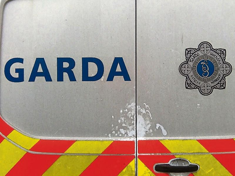 Bicycles stolen at Naas home
