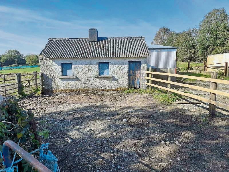 Kildare Property Watch Land in Ballitore and Narraghmore for sale