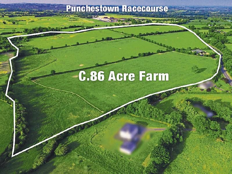 Naas land sells for &euro;20,000 an acre as six people bid