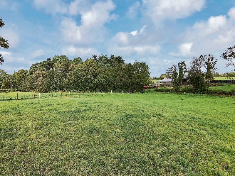 Kildare Property Watch: Quality land at Narraghmore on the market