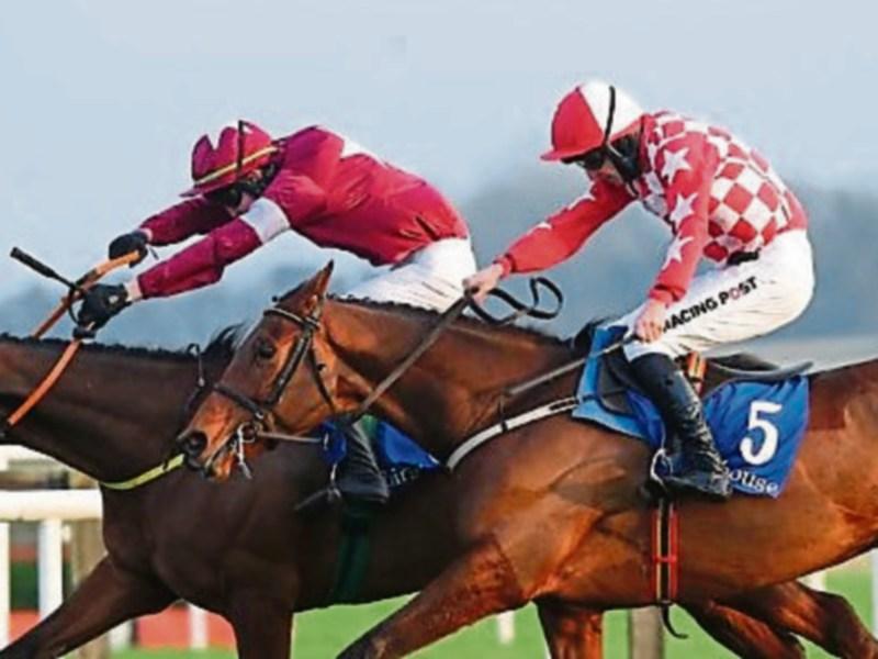 FEATURE: Racing certainties abound at Clongowes Wood in Clane