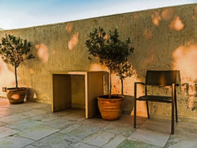 Gardening: Bring some touches of the Med to your garden