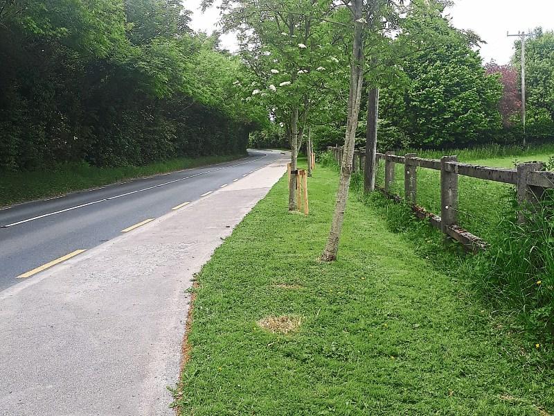 40 tonnes of rubbish removed from Kildare roadways