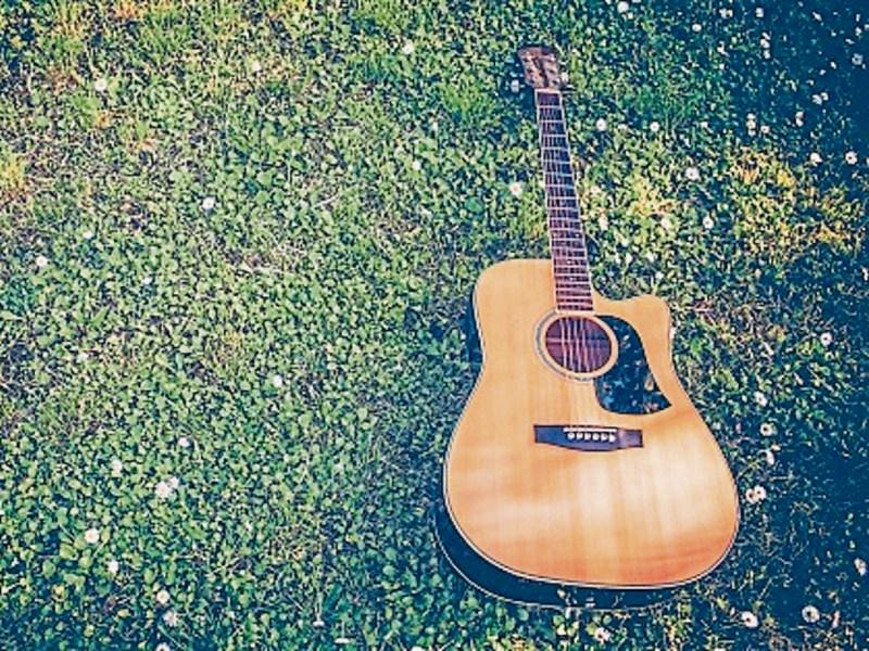 KILDARE CULTURE NIGHT: Kilcock: Live in the Garden