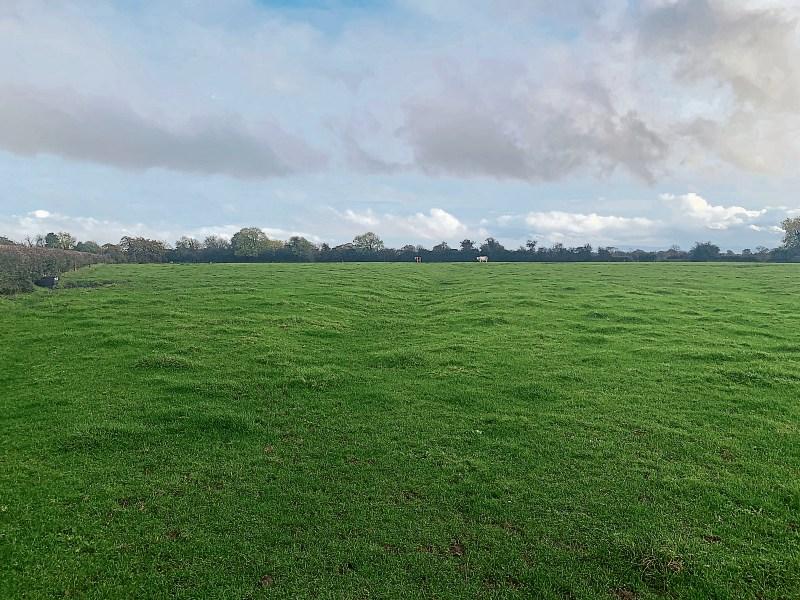 Property Watch: 23 acres of land on Kildare border up for auction