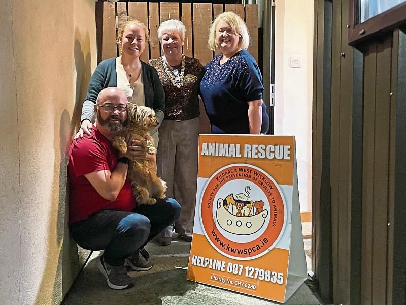 KWWSPCA: Teddy’s adoption prompts fundraiser for Kildare shelter