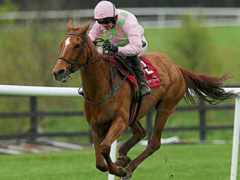 Cheltenham results: Day 2 racing, LIVE on Tuesday, March 13, 2019