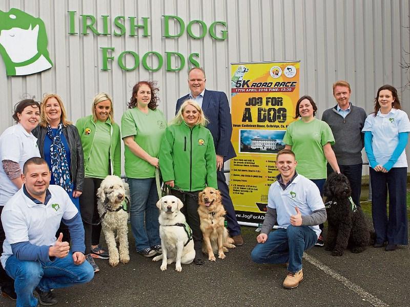 Jog for a Dog charity 5k returns to Castletown House