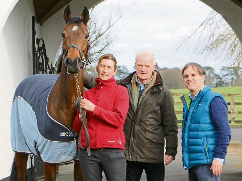 Hurricane Fly joins living legends at Kildare's National Stud