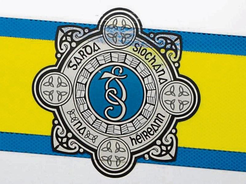Cattle trailer robbed in Naas