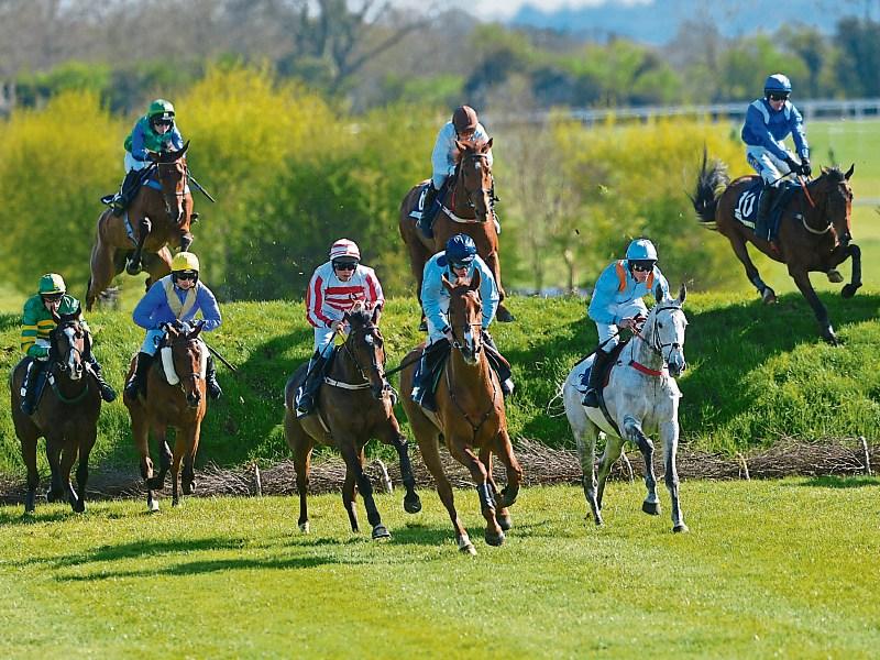 Punchestown: It is possible to enjoy a day or two at the races... without having a bet