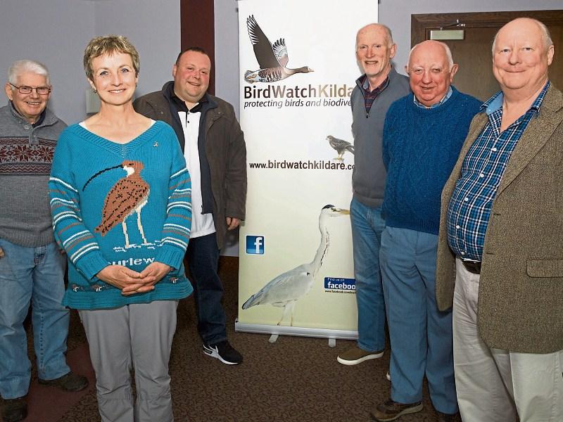 Environmentalist expresses worry over fate of the Kildare curlew
