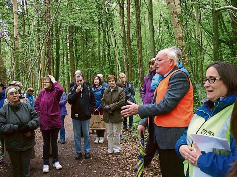From dormice to a dusk chorus, there's plenty to do during Kildare Biodiversity Week