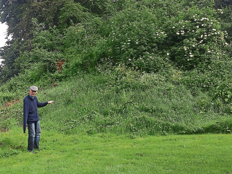 Historic 'Sunday's Well' site in Clane will be studied