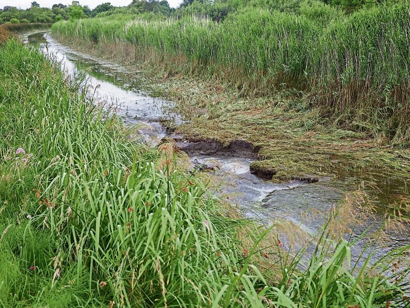 Water gushes from Rathangan canal through collapsed underground tunnel