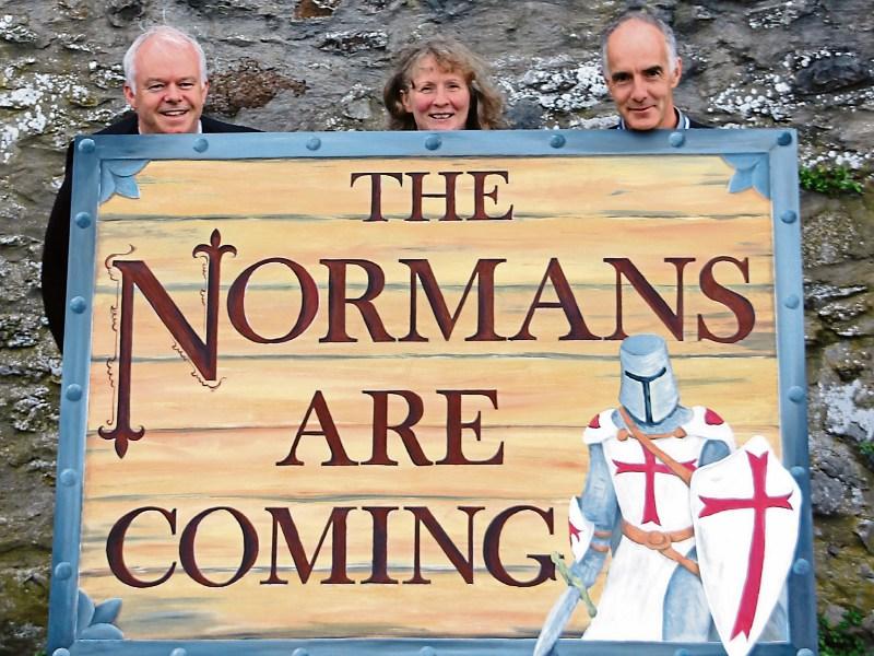 Falconry and fire juggling: Kildare town gets set for this weekend's Medieval Festival