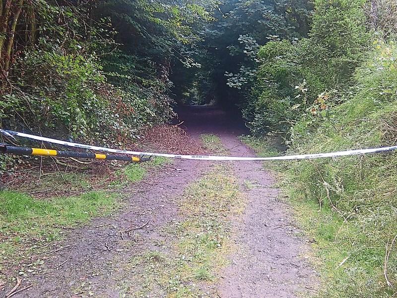 Gardai appeal for information on Rahin Wood murder