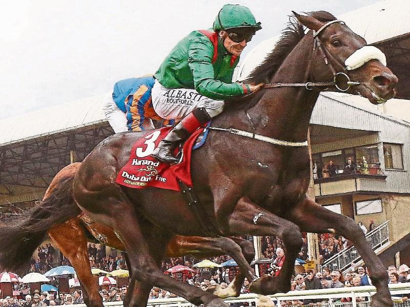 Thoroughbred Trail kicks off Longines Irish Champions day at the Curragh on Sunday
