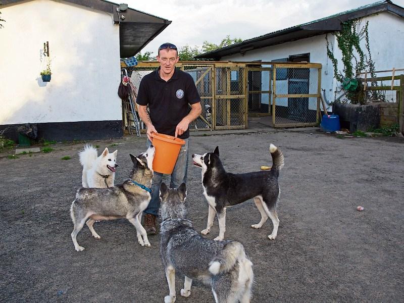 Kildare-based Husky Rescue Centre in crisis
