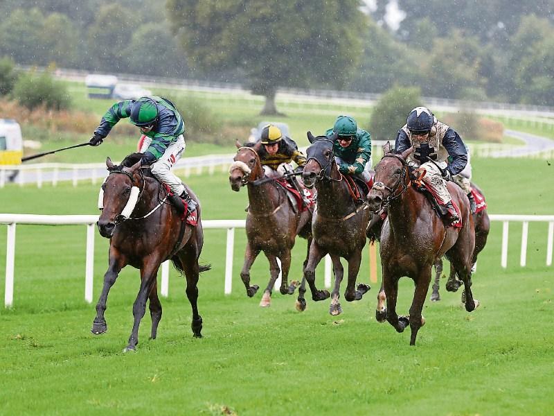 THE PUNTER'S EYE: Four horses to back as top class jumps racing returns