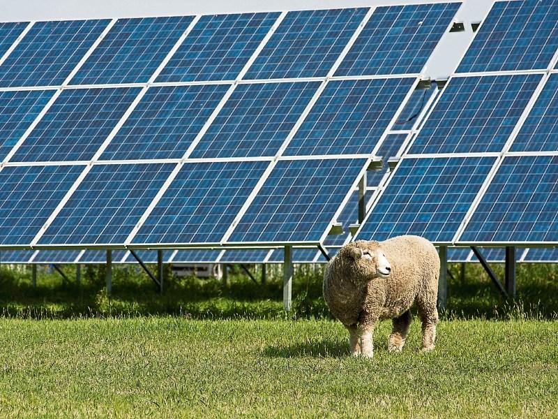 Will the sun shine in Kilkenny with solar farms