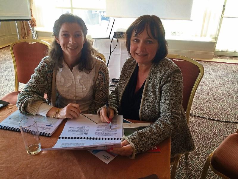 Plans to build flood wall in Athy