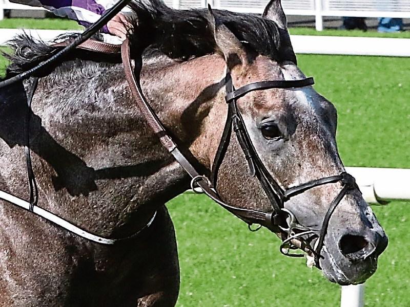 Postponed all the rage for Prix de l'Arc