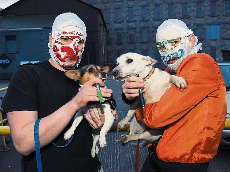 Limerick's Rubberbandits bring anarchic game show to MTV